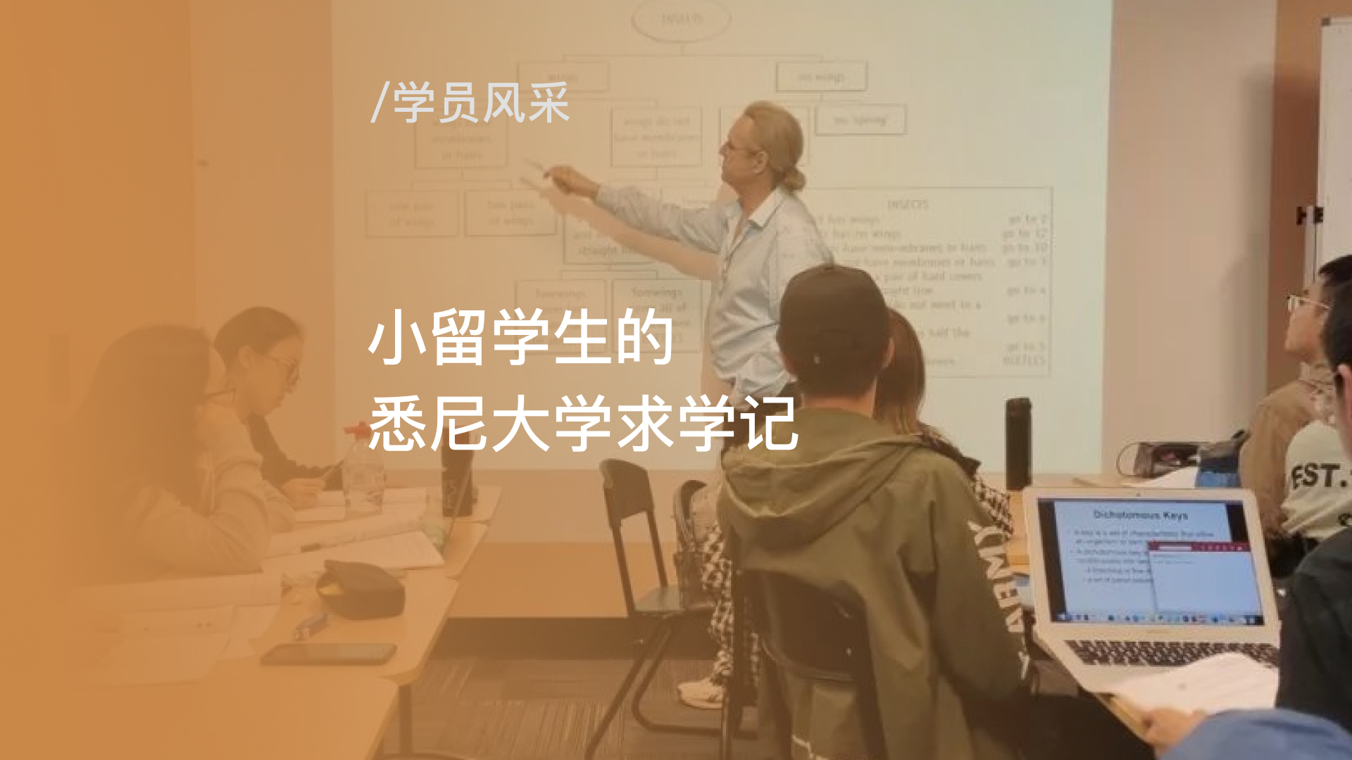 小留学生的悉尼大学求学记